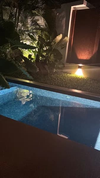 Jason-chapiteau Malika - photo 3