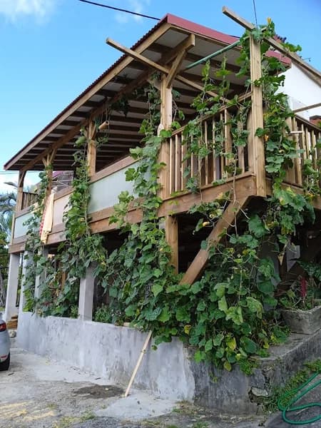 L’Ilot Store Gosier - photo 2