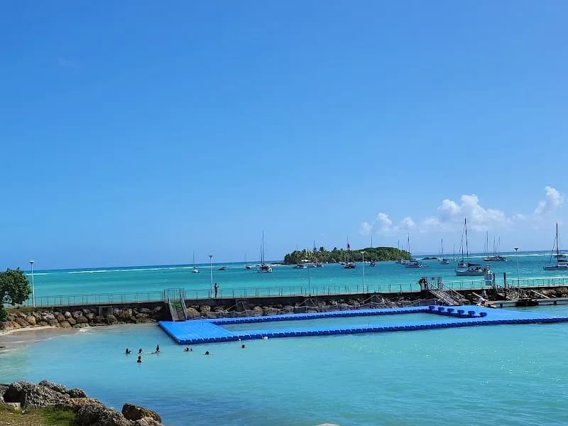 La Souris Verte - photo 4