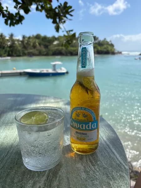 Le Pélican Le Gosier - photo 3