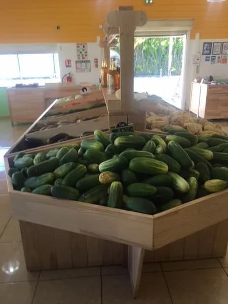 L’Escale Fraicheur Gosier - photo 3