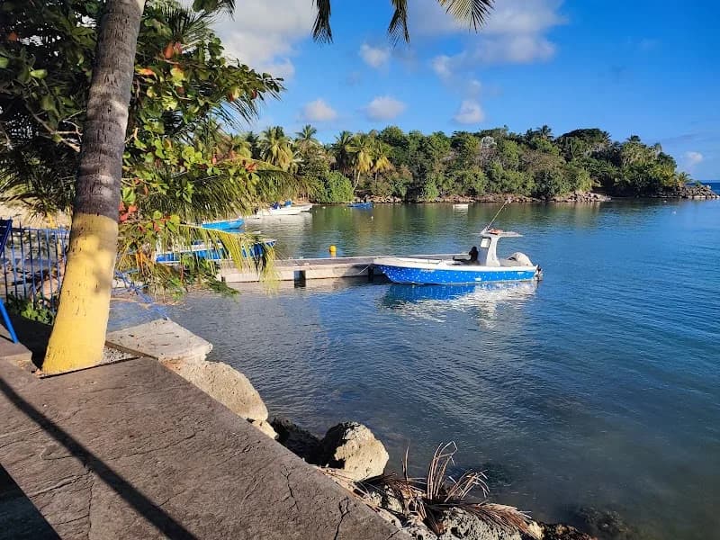 Restaurant L’Oursin de Saint-Félix - photo 4