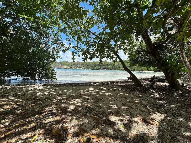 Macquart Anne-Charlotte