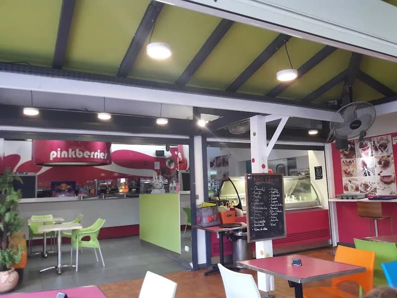 Pinkberries - photo 4