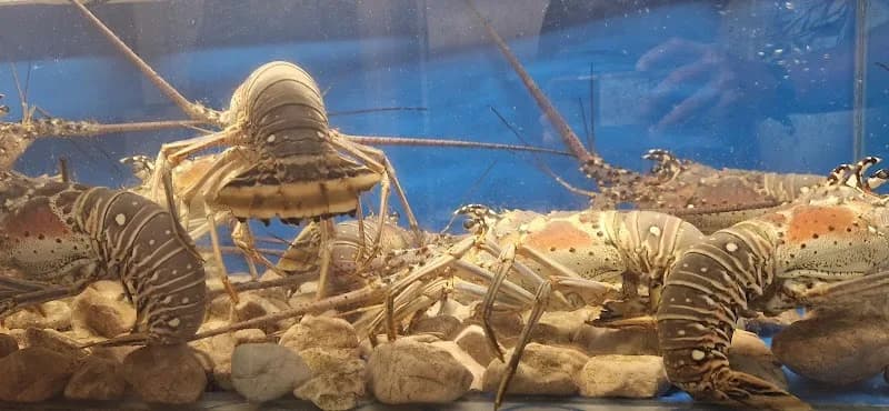 Restaurant La Verdure Gosier - photo 2