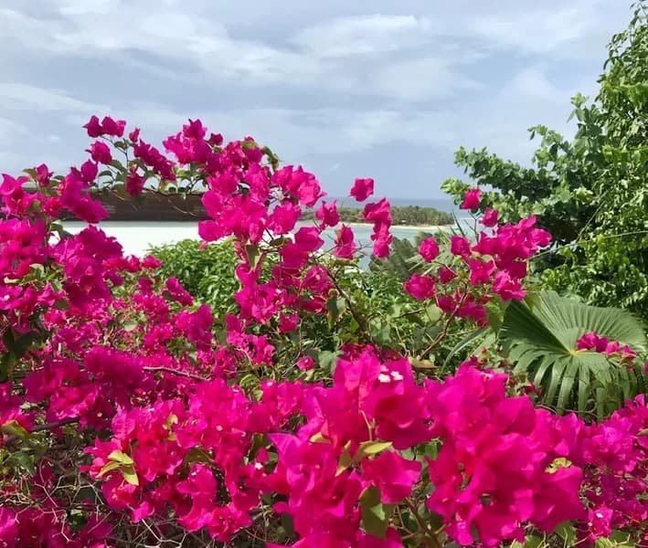 Rugard Rodrigue - photo 4