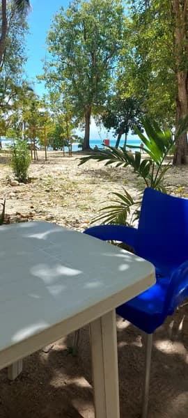 Snack Délice de la Nuit Gosier - photo 3