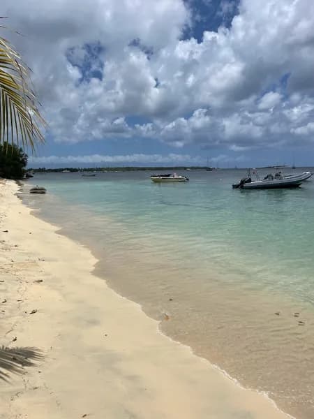 Taxi Gimard Amédée - photo 2