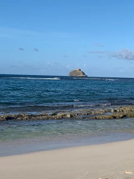 Taxi Gimard Amédée - photo 3