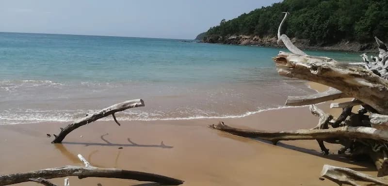 Taxi Gimard Amédée - photo 4