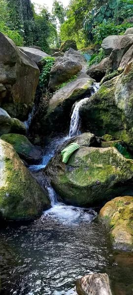 Laquitaine Claude - photo 2