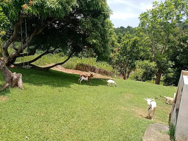 Atelier F . Osmar Fils - photo 2