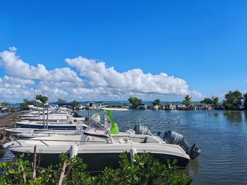 Pêche Karaïb Fly Goyave