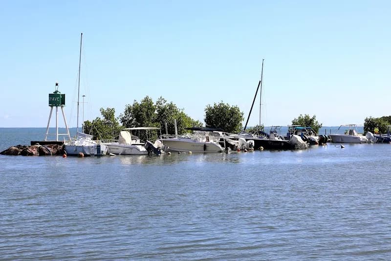 Pêche Karaïb Fly Goyave - photo 2