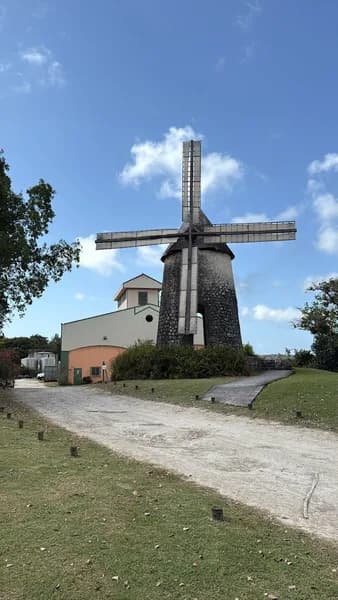 Distillerie Bellevue Marie-Galante