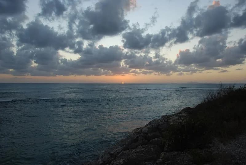 Librairie Pégases Créations