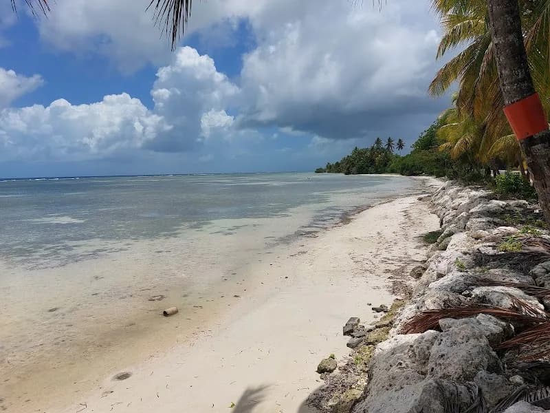 Appartement L’Oasis