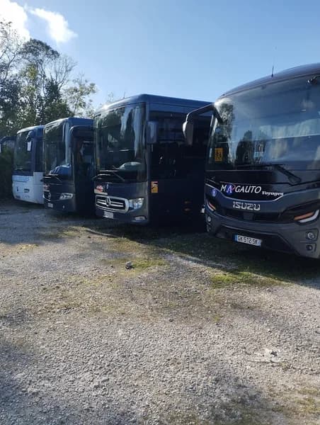 Magauto Marie-Galante - photo 2