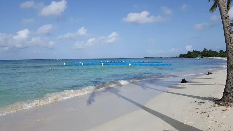 Plongée Ti Bulles Marie-Galante - photo 2