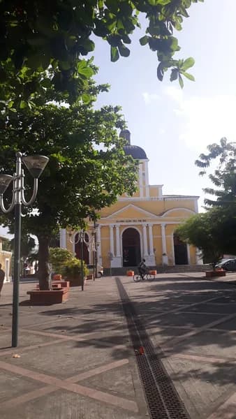 Médecin Scohy-Salic