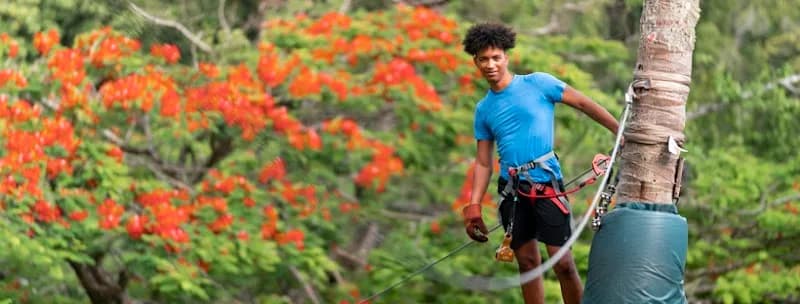 Accrobranche Guadeloupe