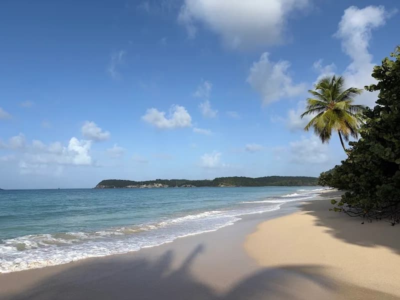 Agence de voyage Guadeloupe - photo 2