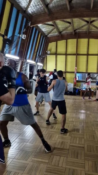 Boxer-antilles.com - photo 2