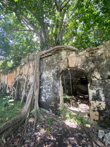 Cuturelle Guadeloupe