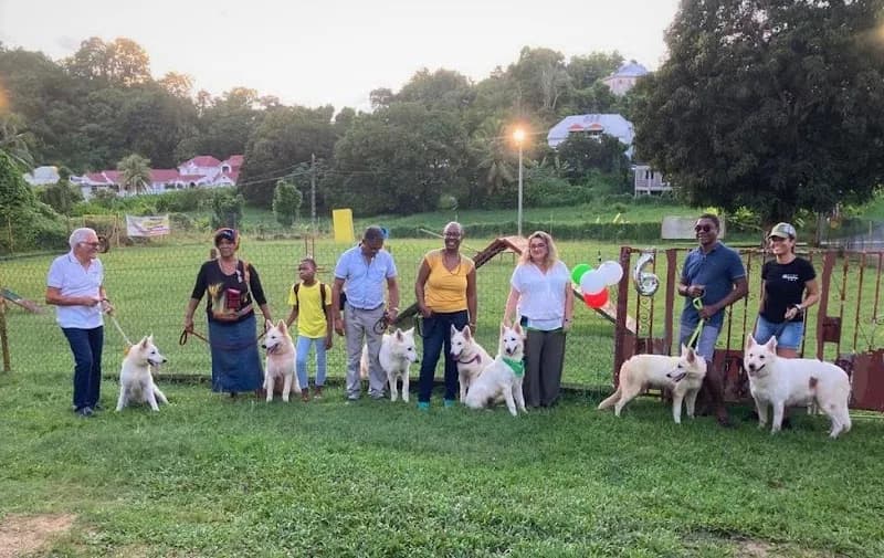 Dogphorm.com - photo 2