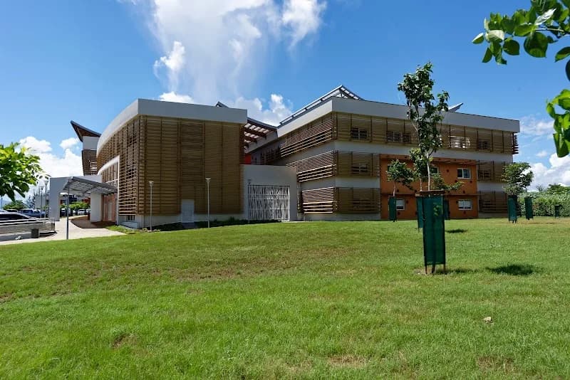 Enseignement Guadeloupe - photo 2