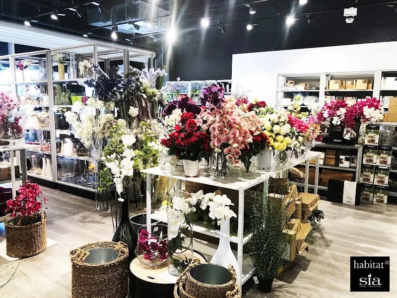 Magasin Family Plaza - photo 2