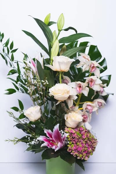 Floradom.fr - photo 2