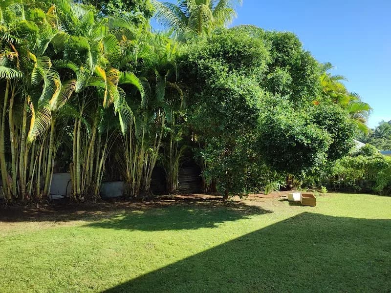 Jardinier Guadeloupe - photo 2