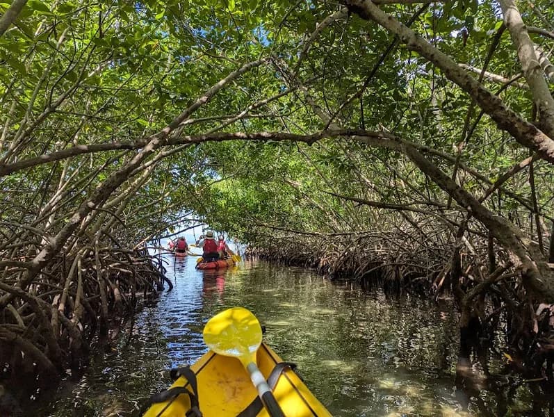 Kayak Guadeloupe