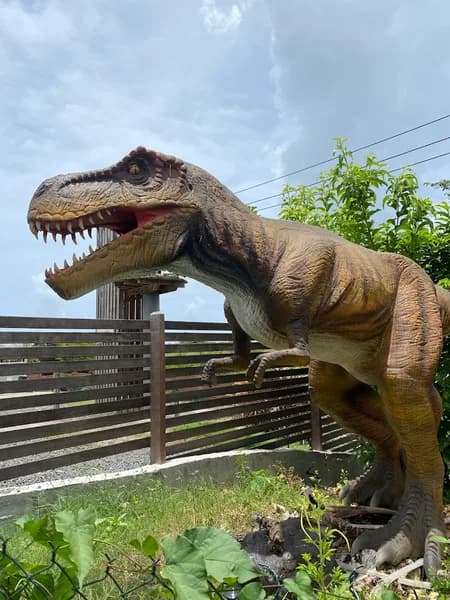 Parcs de loisirs Guadeloupe - photo 2