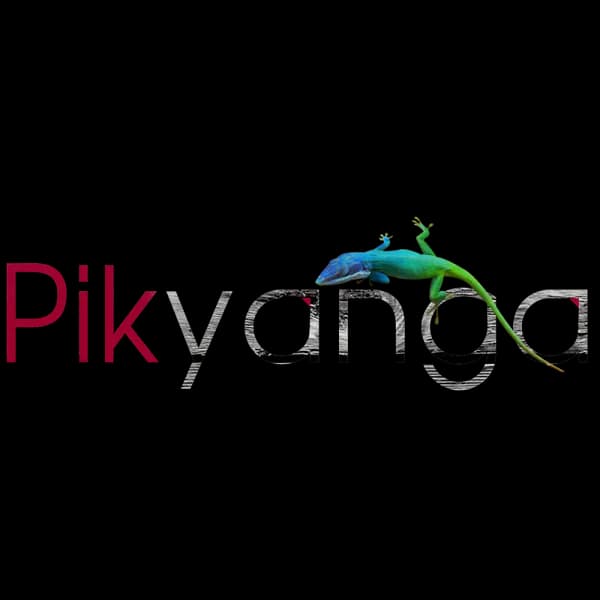 Pikyanga.com
