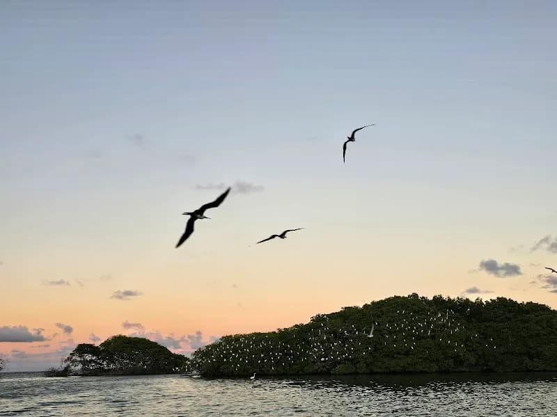 Promenade en mer Guadeloupe - photo 2