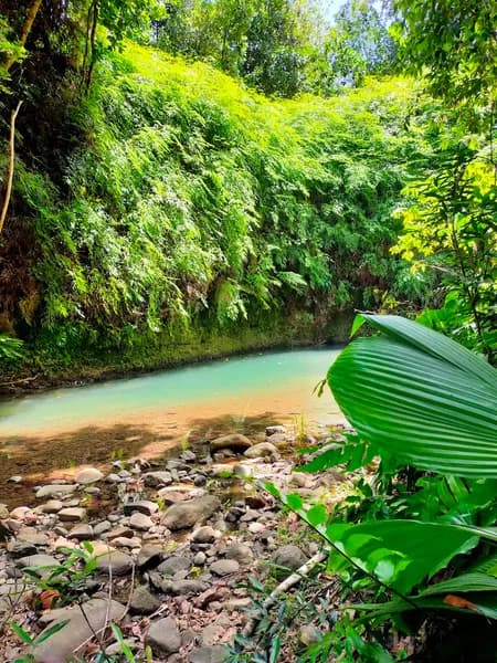 Randonnées Guadeloupe - photo 2