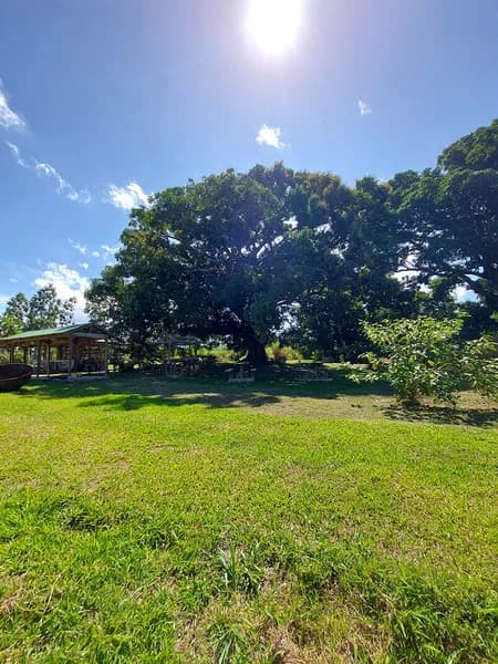 Venir Guadeloupe - photo 2