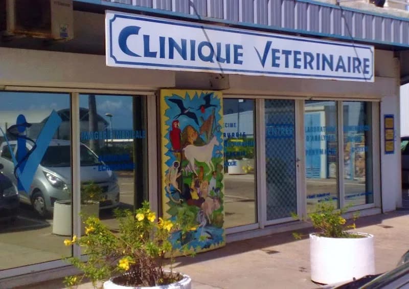Veterinaire Guadeloupe - photo 2