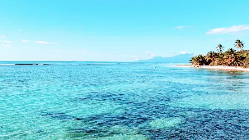 Animalerie en ligne West Indies Pet Shop - photo 2