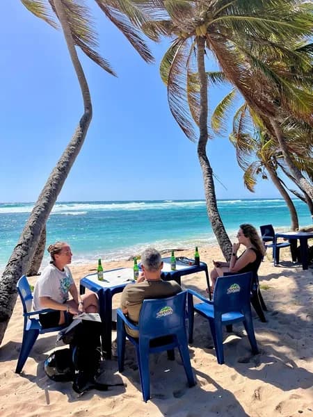Restaurant La Roulotte La Désirade - photo 2