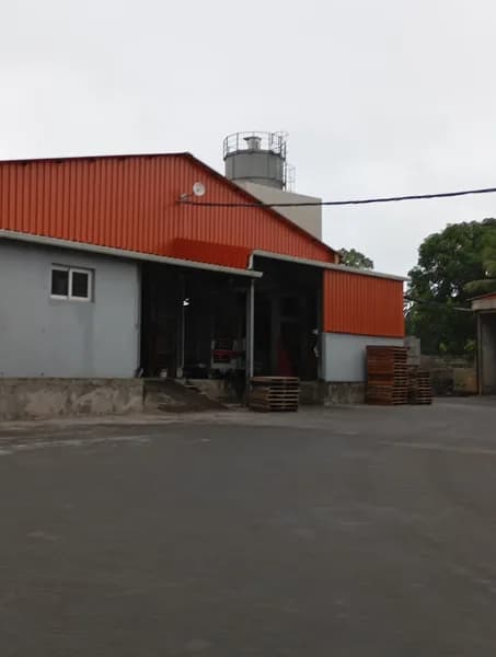 Hammont Patrick - photo 2