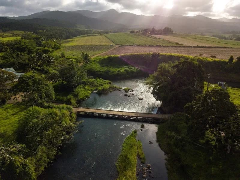 Restaurant Lamentin - photo 2