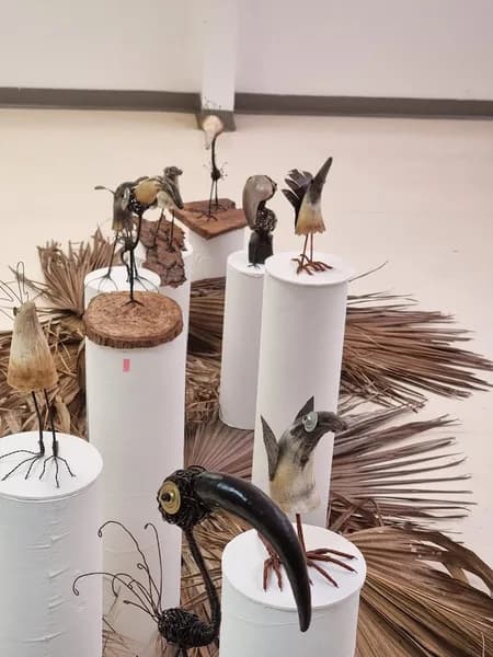 Médiathèque Lamentin