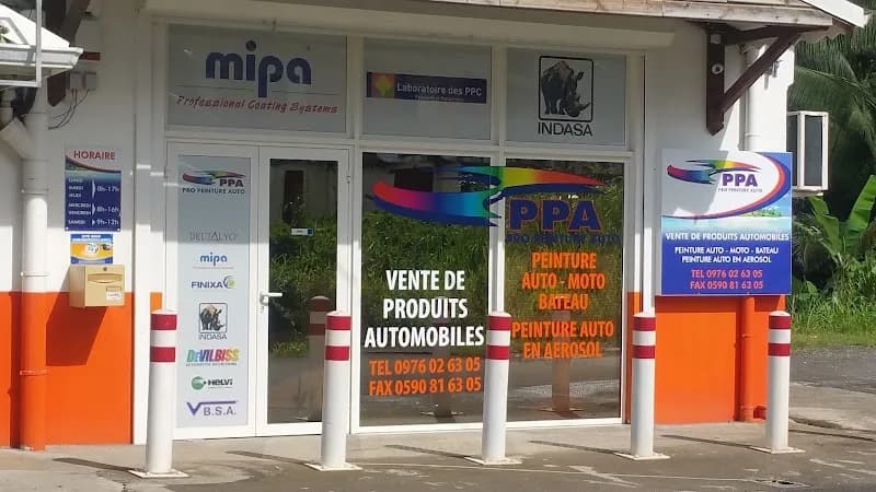 RAF Peinture Lamentin