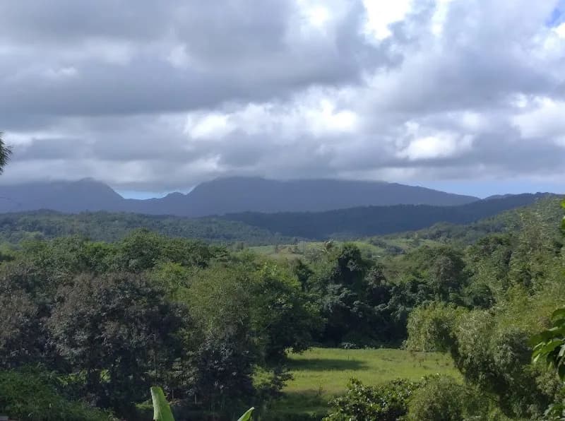 Infirmière Tardits Jacqueline