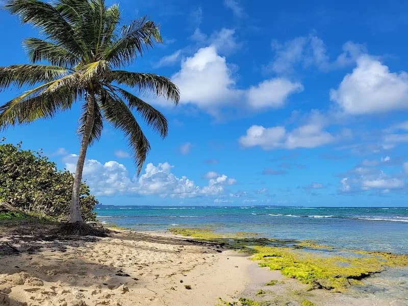 Alizés Coiffure - photo 2