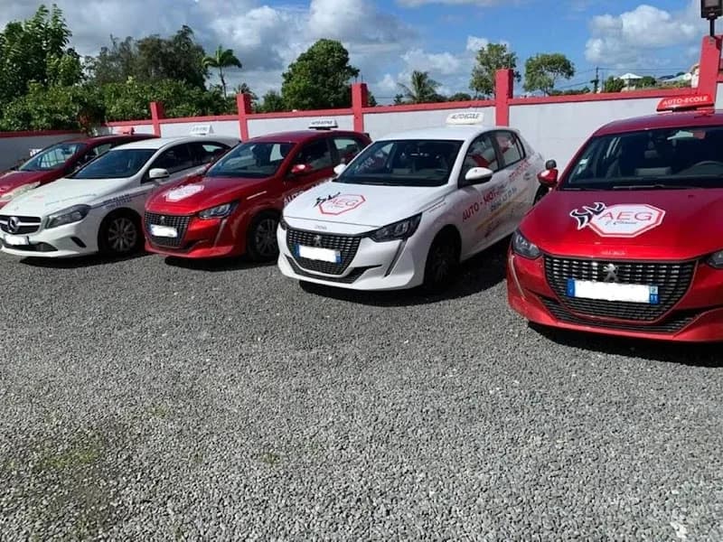 Auto Ecole Guadeloupéenne - photo 2