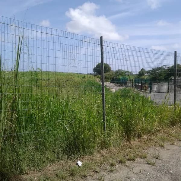 Déchetterie Le Moule - photo 2